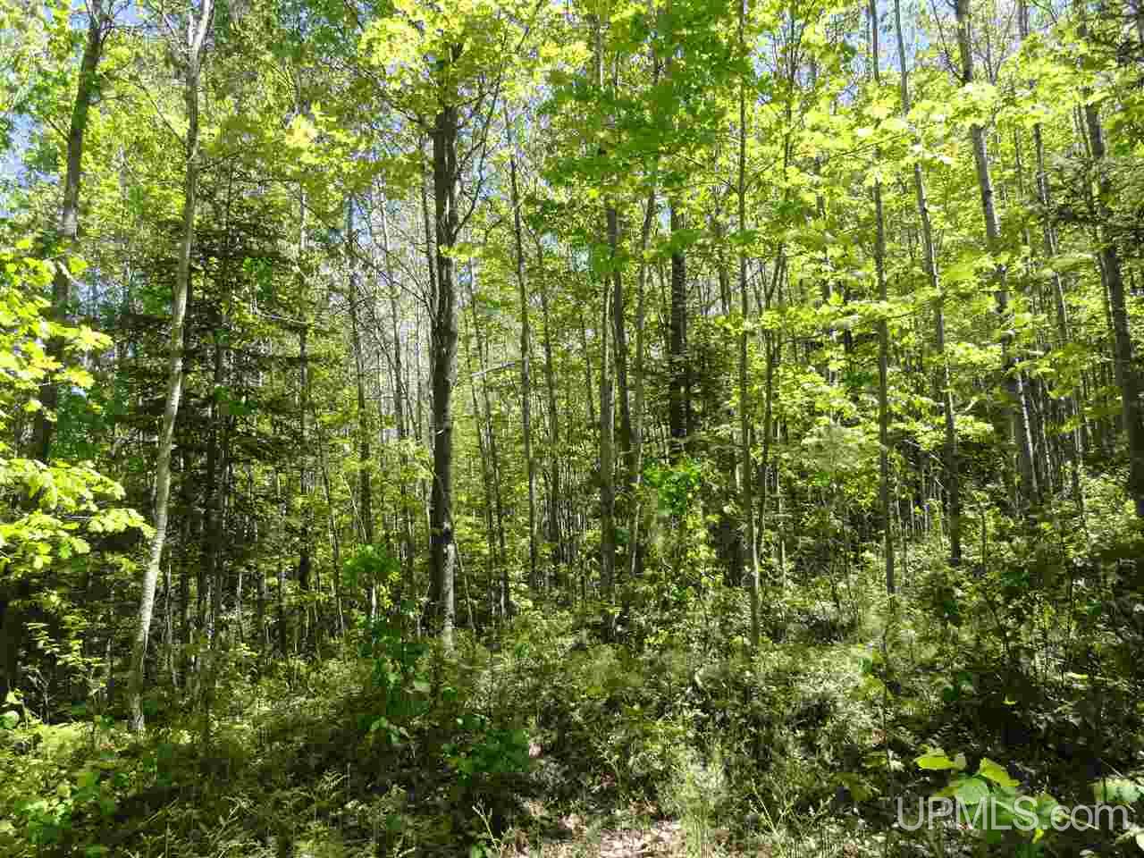 40 Two 2 Mile Creek Road Channing, MI 49815 - Photo 6 of 14 Gallery Image 6