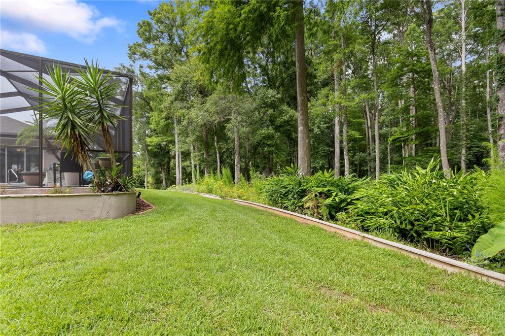 12054 Quail Ridge Drive Spring Hill, FL 34610 - Photo 50 of 69