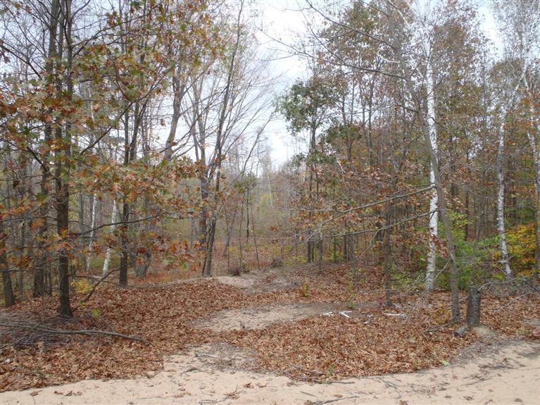 2928 West Conrad Road Ludington, MI 49431 - Photo 12 of 21 Additional Photo