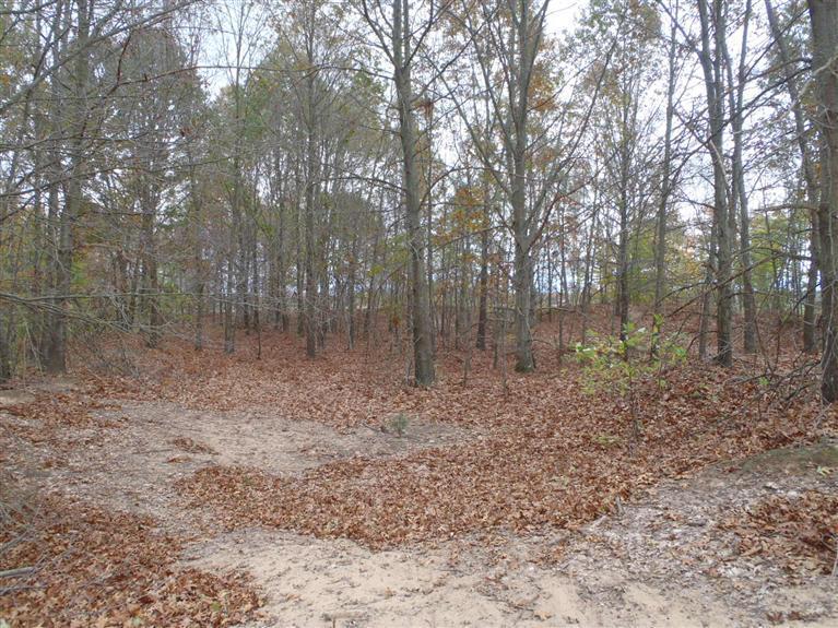 2928 West Conrad Road Ludington, MI 49431 - Photo 15 of 21 Additional Photo