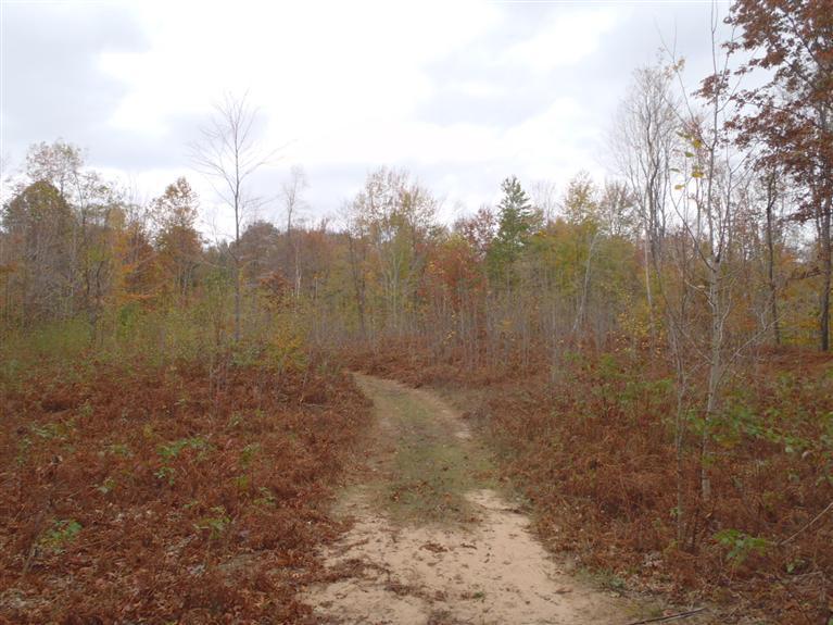 2928 West Conrad Road Ludington, MI 49431 - Photo 16 of 21 Additional Photo