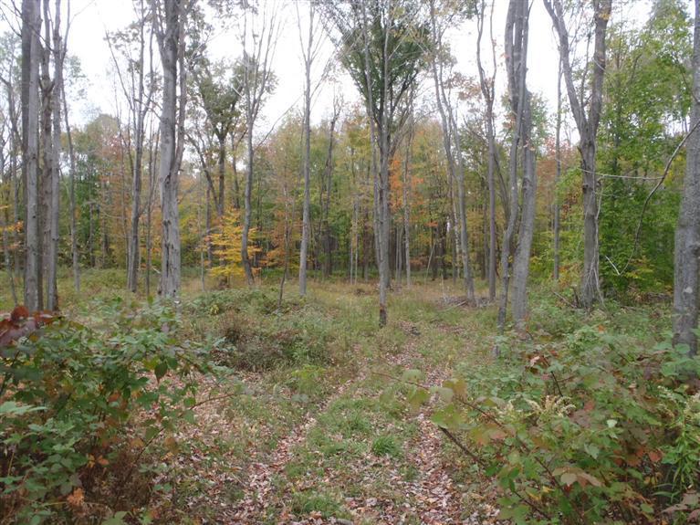 2928 West Conrad Road Ludington, MI 49431 - Photo 17 of 21 Additional Photo