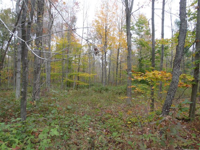 2928 West Conrad Road Ludington, MI 49431 - Photo 18 of 21 Additional Photo