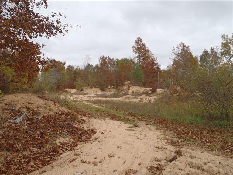 2928 West Conrad Road Ludington, MI 49431 - Photo 10 of 21 Additional Photo