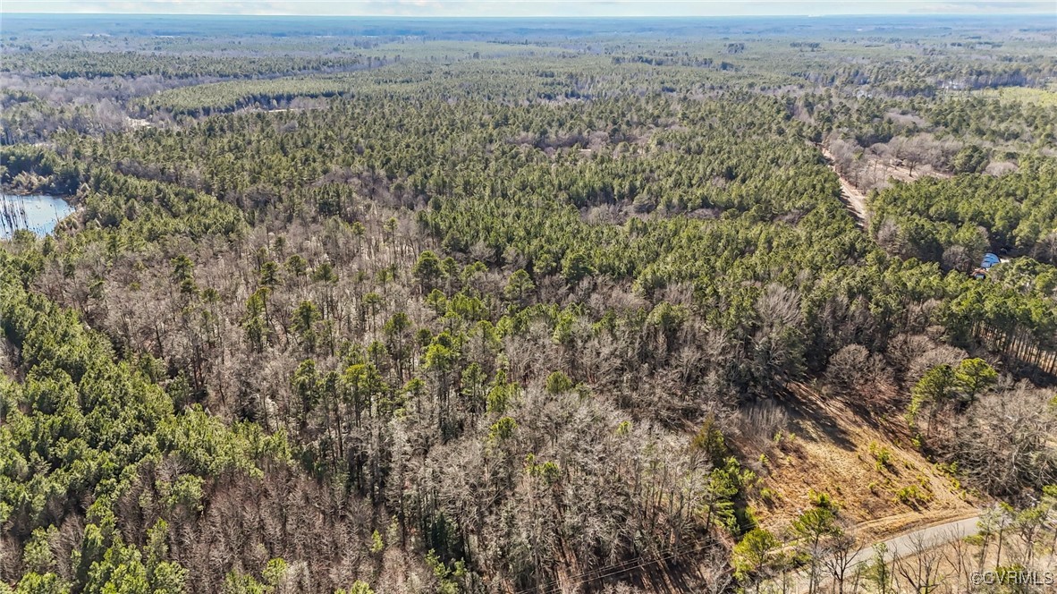 6801 Hair Road Disputanta, VA 23842 - Photo 2 of 7