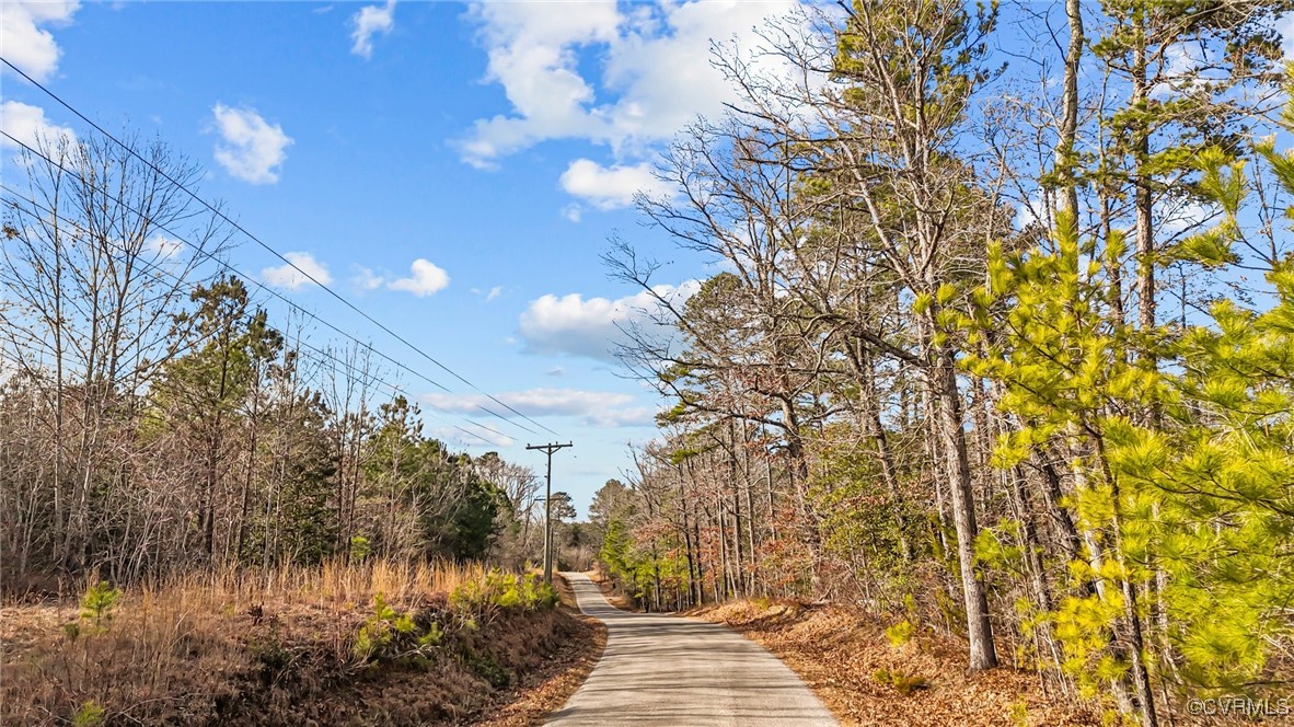 6801 Hair Road Disputanta, VA 23842 - Photo 3 of 7