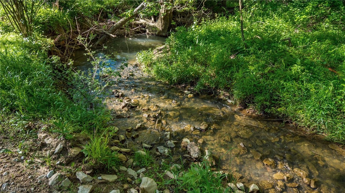 5911 Reform Road Northeast Newark, OH 43055 - Photo 8 of 19 Natural stream with clear water and visible rocky bed, bordered by lush green foliage and mature trees