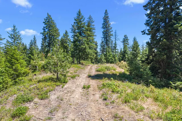 $290,000 | 1022 Spring Hill Road, Newport, WA 99156