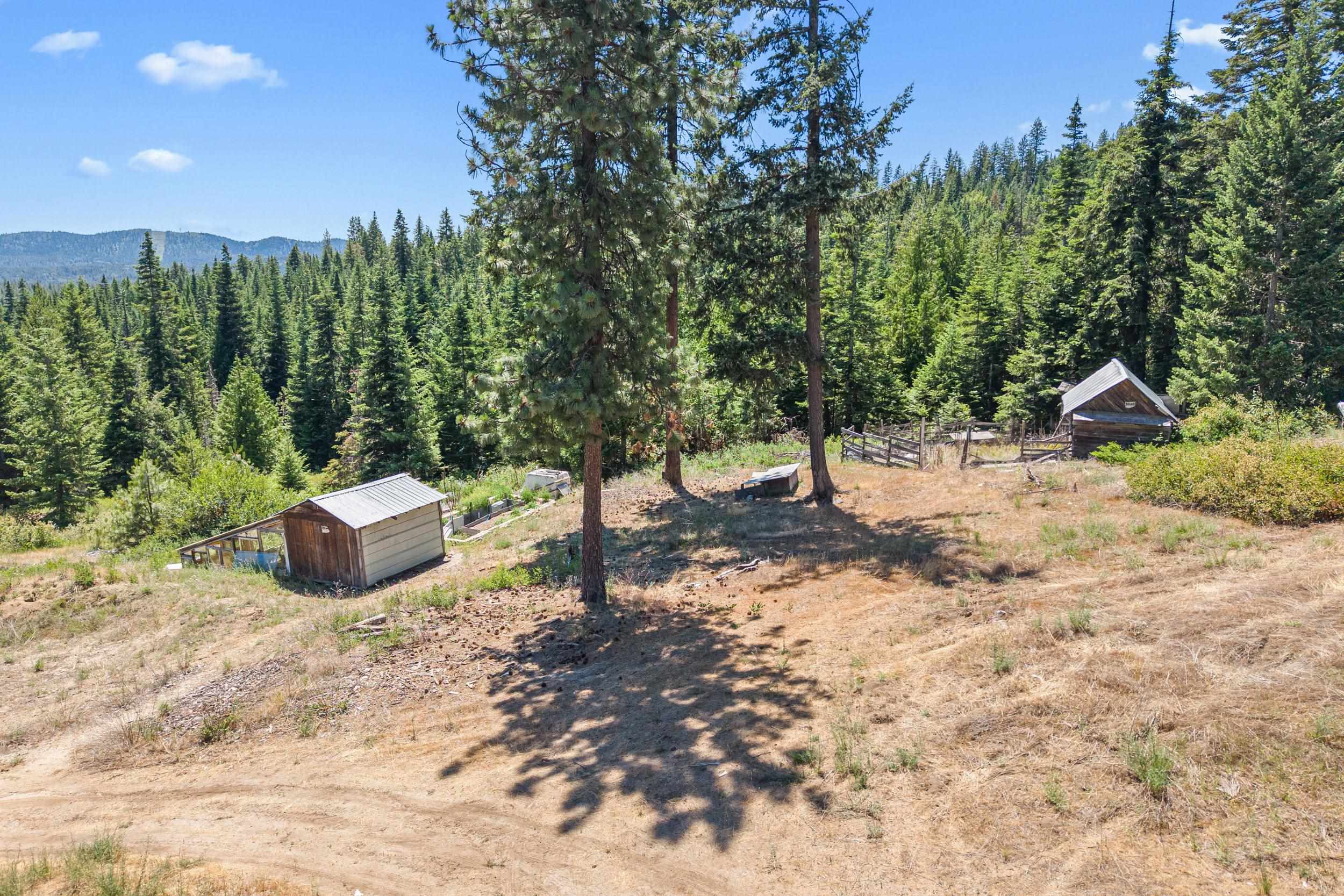 1022 Spring Hill Road Newport, WA 99156 - Photo 25 of 47