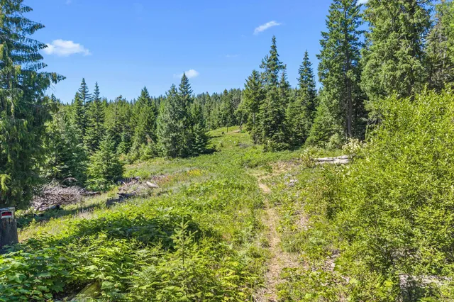 $290,000 | 1022 Spring Hill Road, Newport, WA 99156