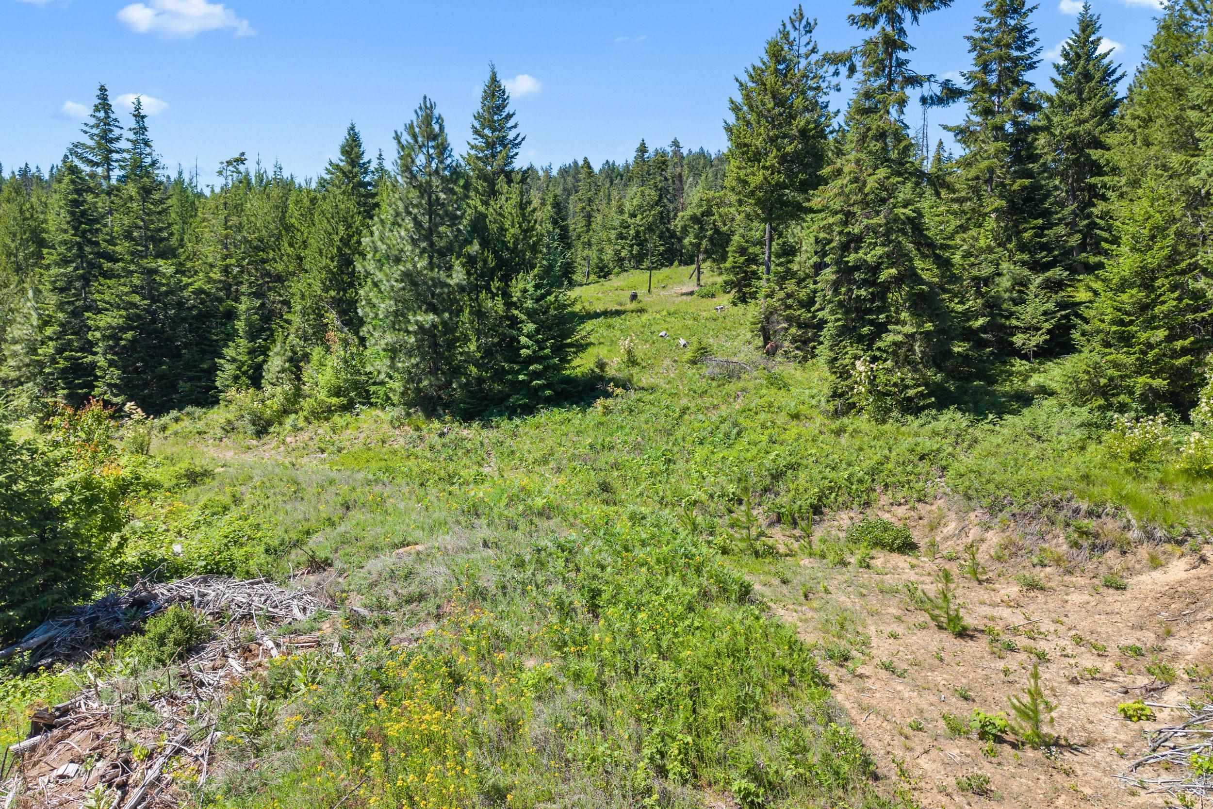 1022 Spring Hill Road Newport, WA 99156 - Photo 30 of 47