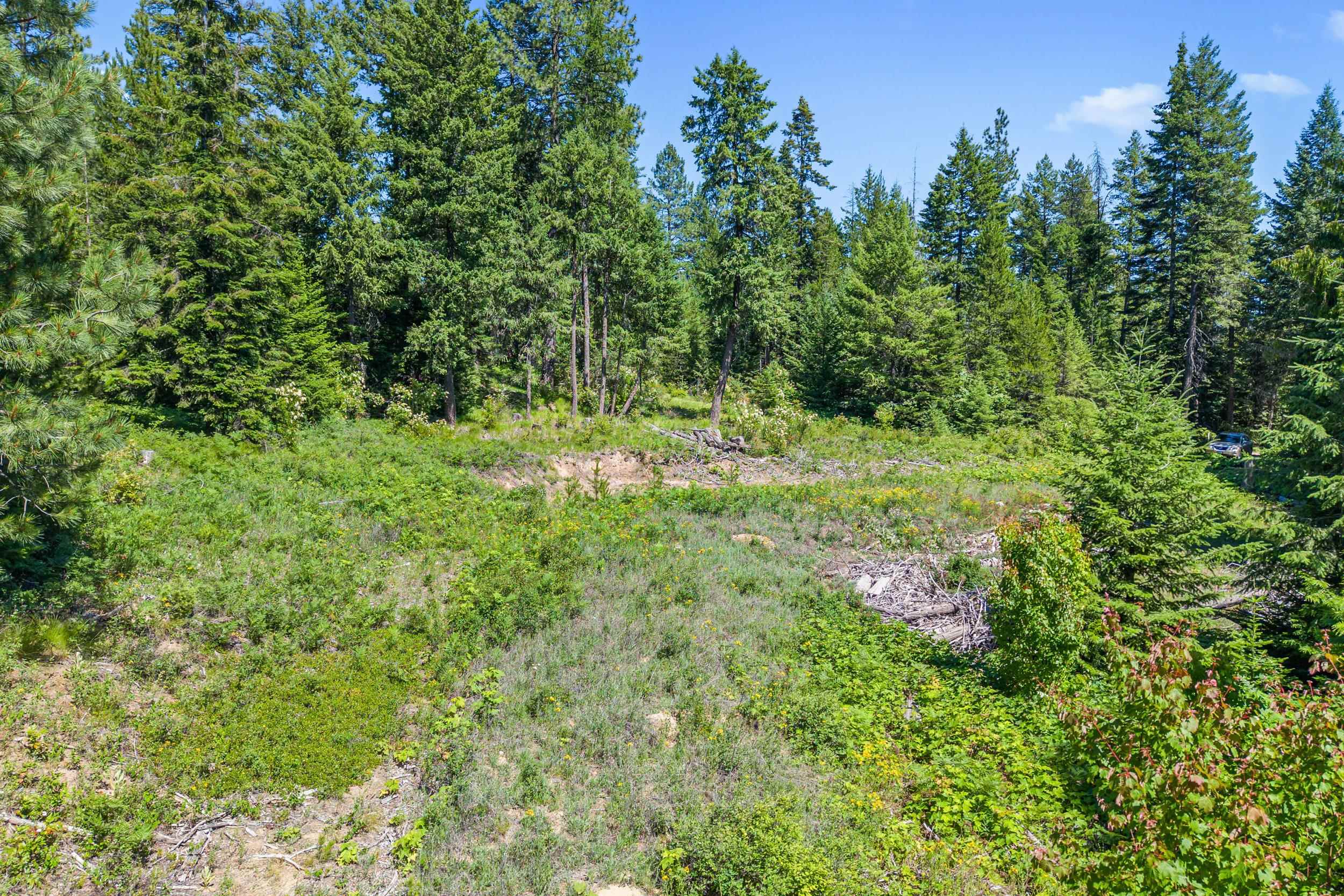 1022 Spring Hill Road Newport, WA 99156 - Photo 31 of 47