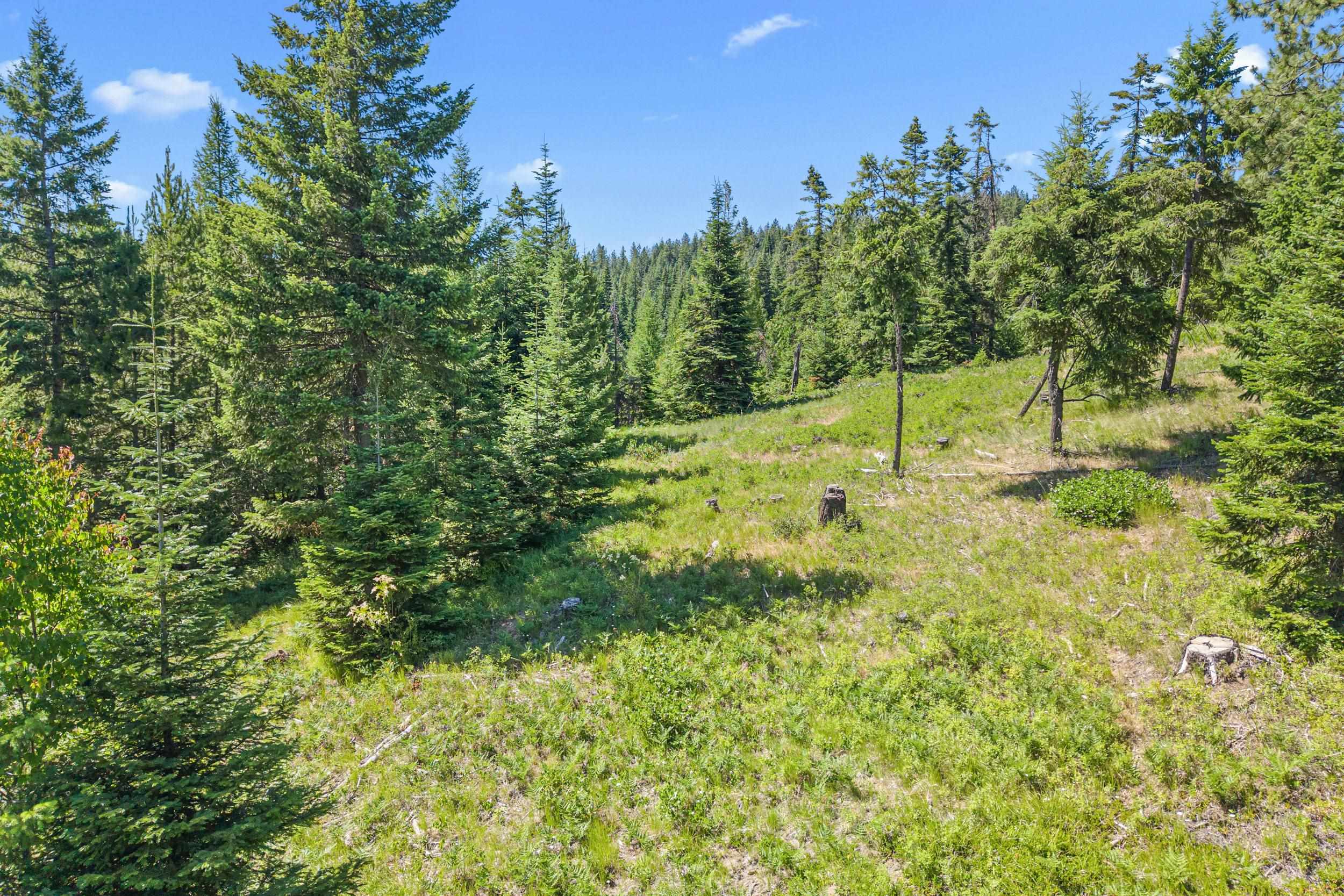 1022 Spring Hill Road Newport, WA 99156 - Photo 32 of 47