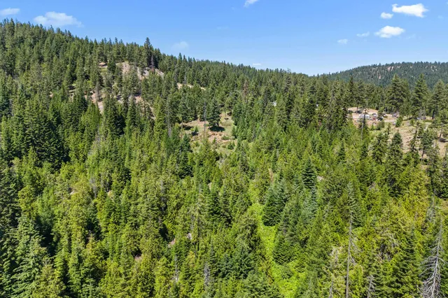 $290,000 | 1022 Spring Hill Road, Newport, WA 99156