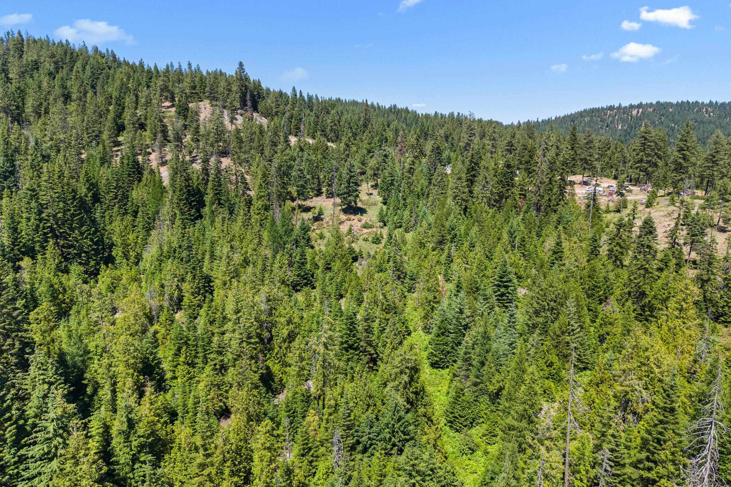 1022 Spring Hill Road Newport, WA 99156 - Photo 36 of 47