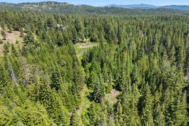 $290,000 | 1022 Spring Hill Road, Newport, WA 99156