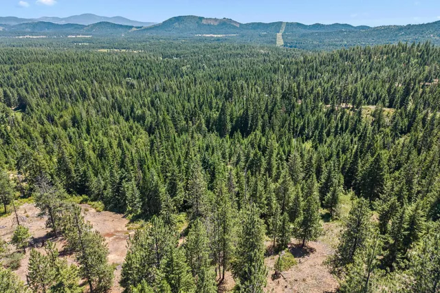 $290,000 | 1022 Spring Hill Road, Newport, WA 99156