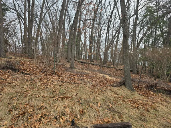 a view of empty room with lots of trees