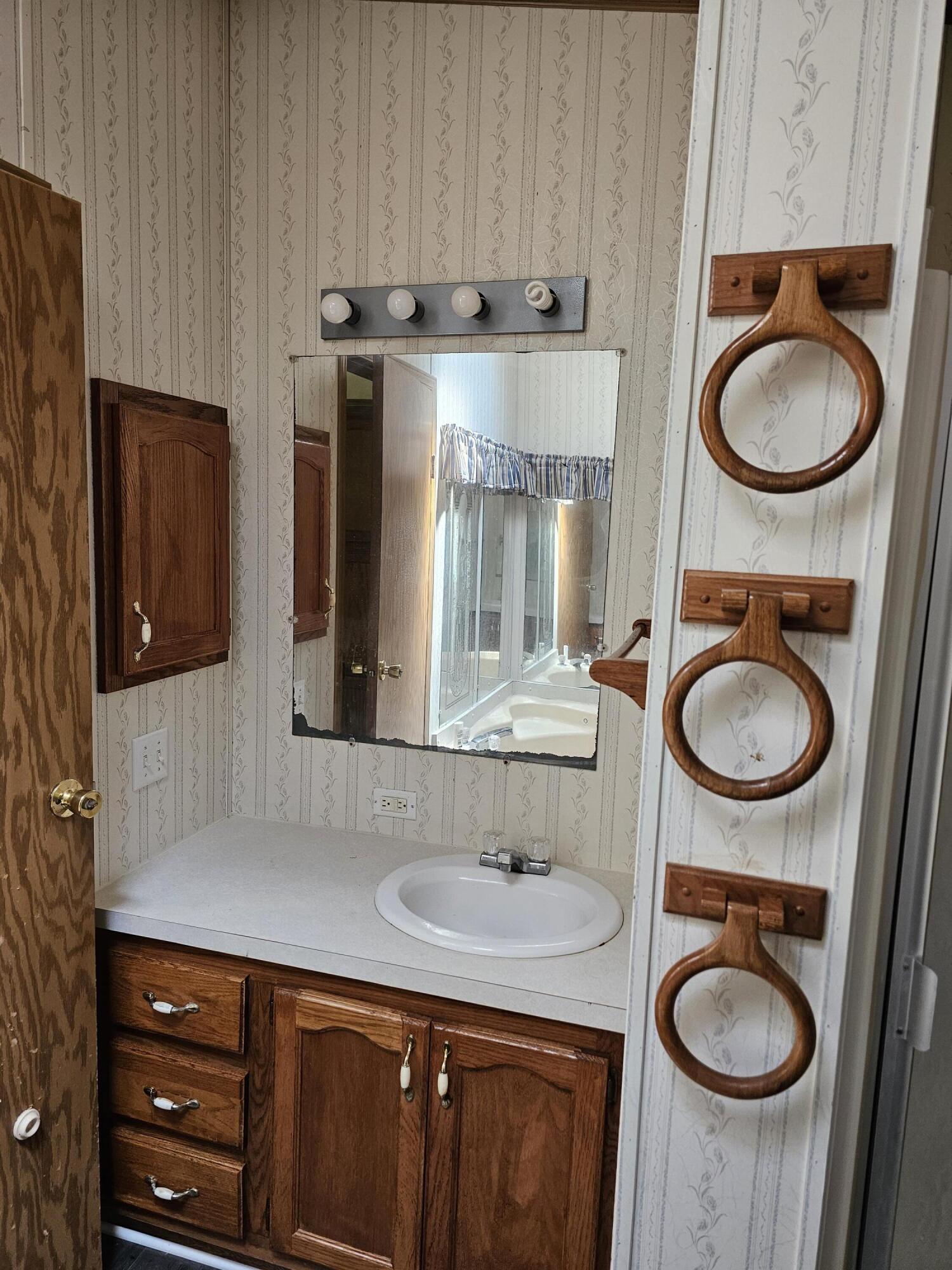722 Roe Street Buchanan, MI 49107 - Photo 7 of 18 owners Bath