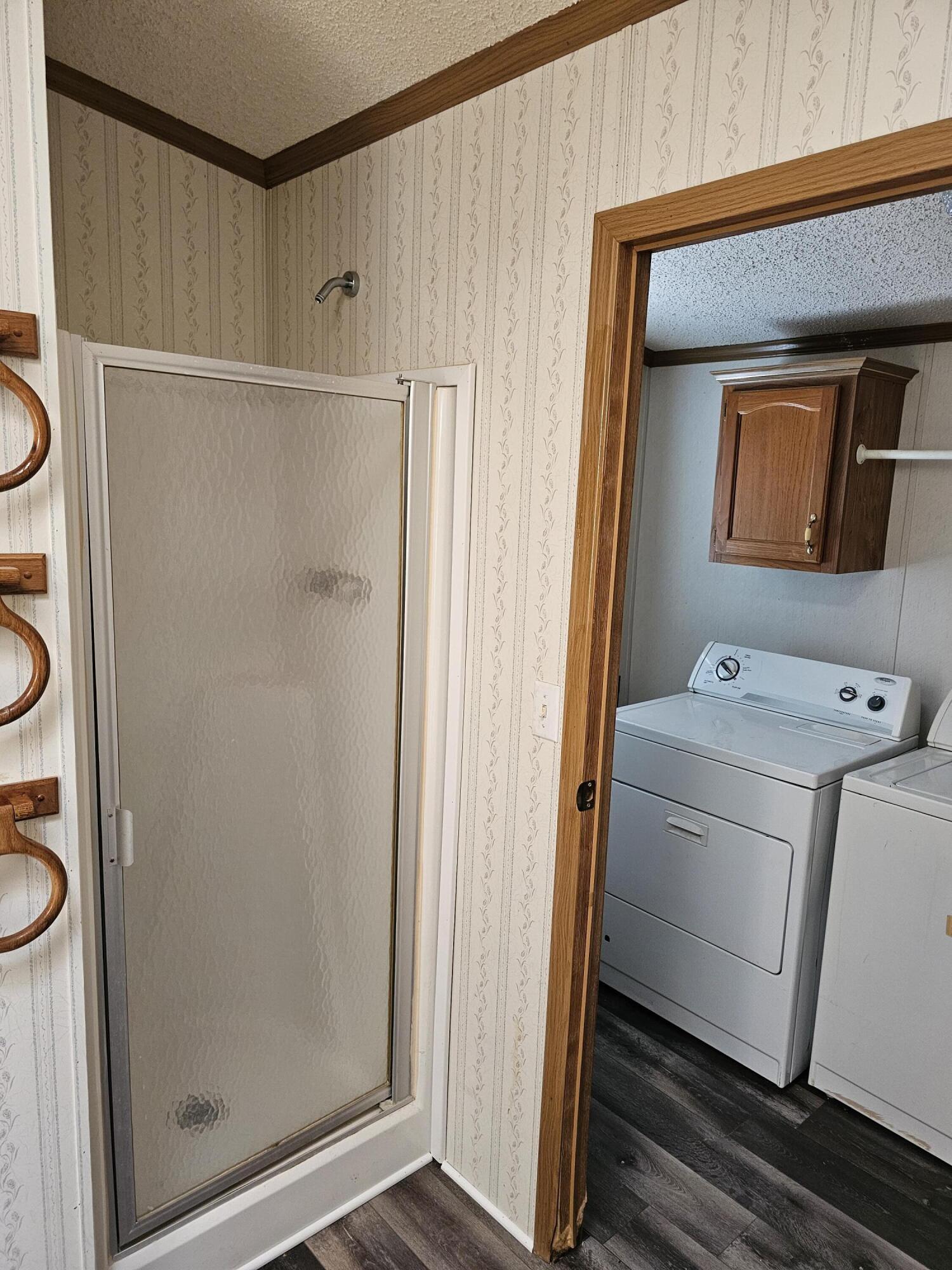 722 Roe Street Buchanan, MI 49107 - Photo 8 of 18 Owners Bath & Utility room