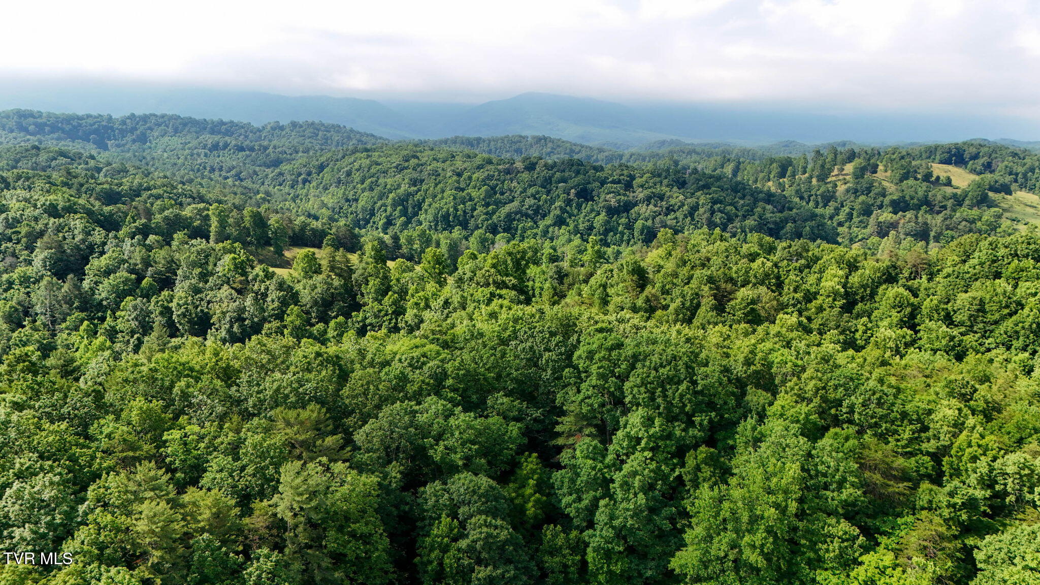 2523 Denton Valley Road, Unit 2 Bristol, TN 37620 - Photo 11 of 44 11