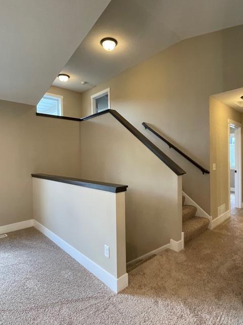 W982 Red Fox Run Spring Valley, WI 54767 - Photo 12 of 28 Gallery Image 12