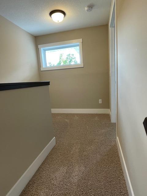 W982 Red Fox Run Spring Valley, WI 54767 - Photo 20 of 28 Gallery Image 20