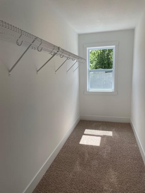 W982 Red Fox Run Spring Valley, WI 54767 - Photo 23 of 28 Gallery Image 23