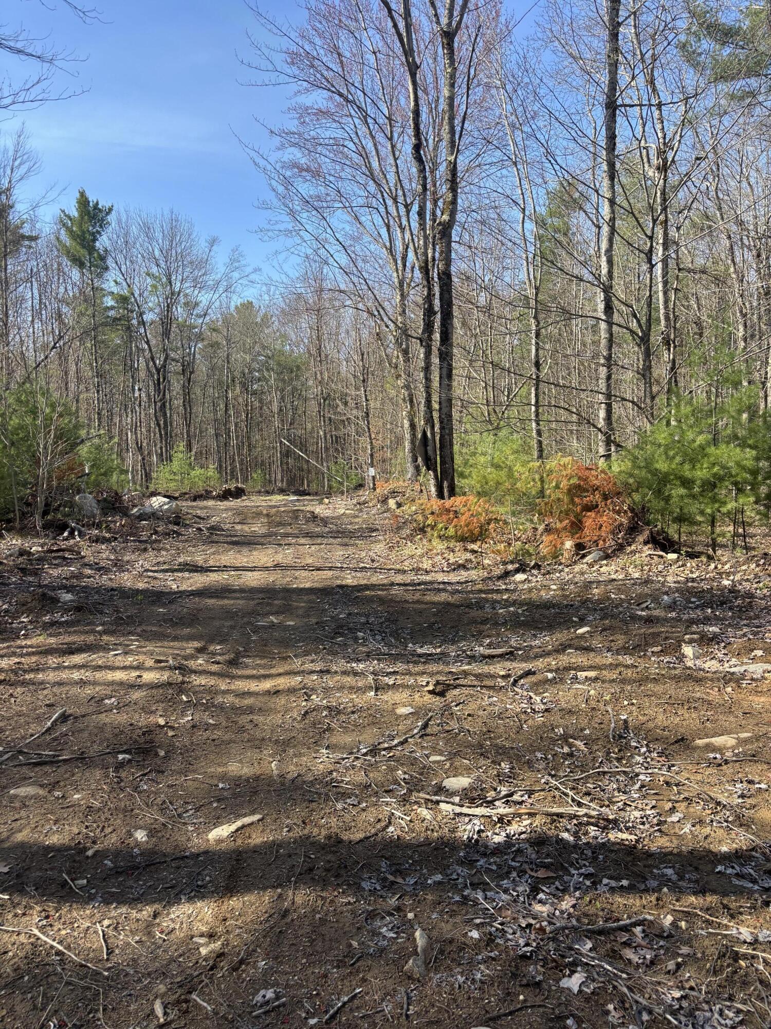 Lot 88 Bolton Hill Road Augusta, ME 04330 - Photo 13 of 17