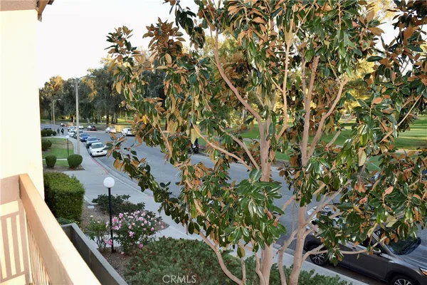 a view of a yard with an outdoor space