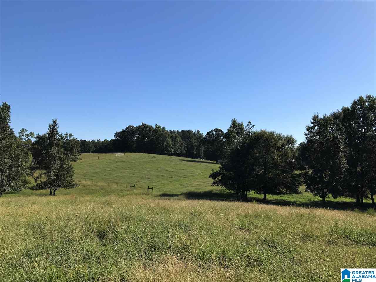 5425 East Mill Road Lineville, AL 36266 - Photo 38 of 50