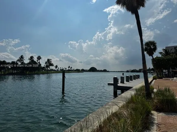 a view of a park with large trees