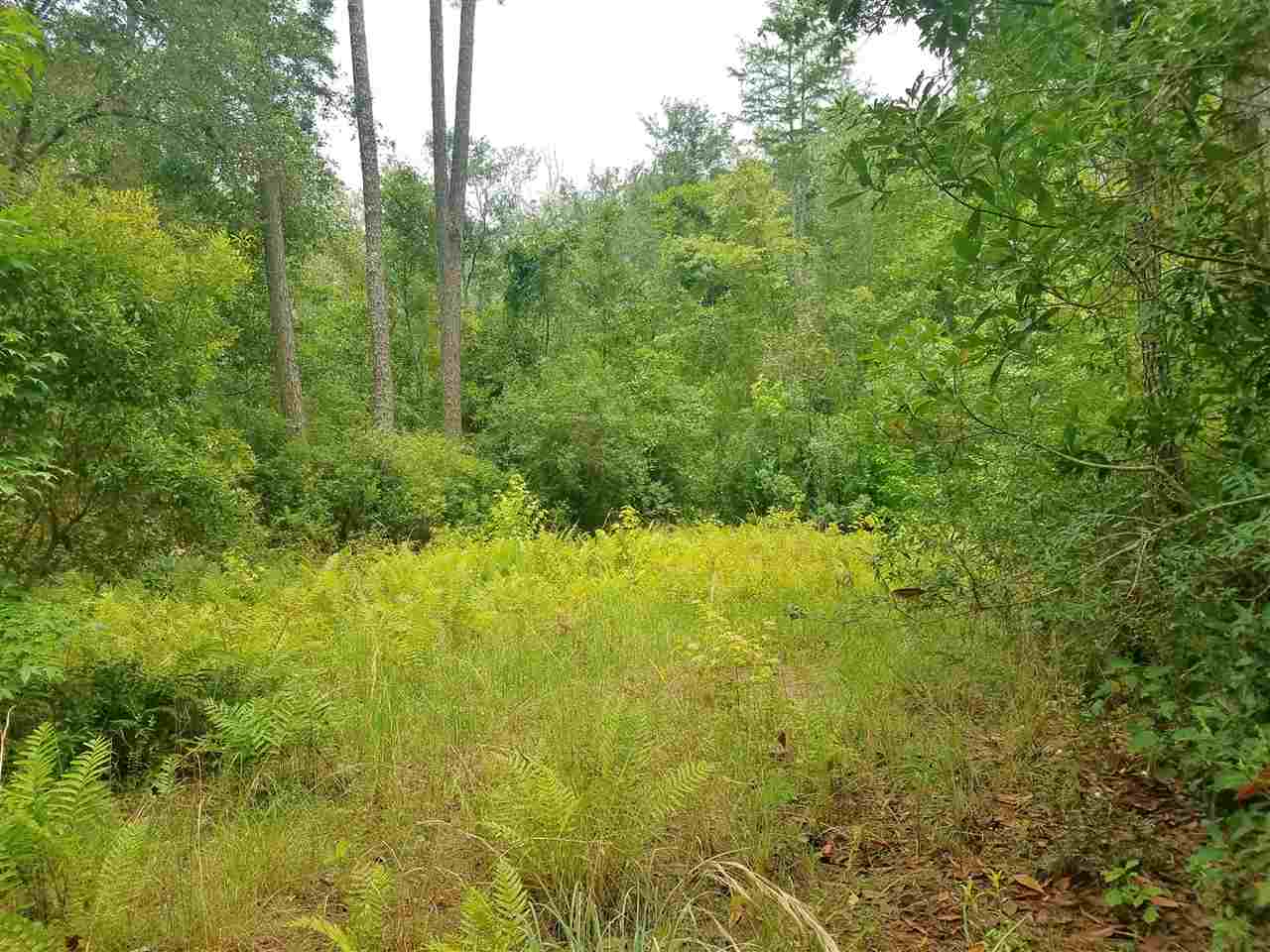 Vacant Southwest Vacant Sw Kramer Road Madison, FL 32340 - Photo 16 of 36 Gallery Image 16