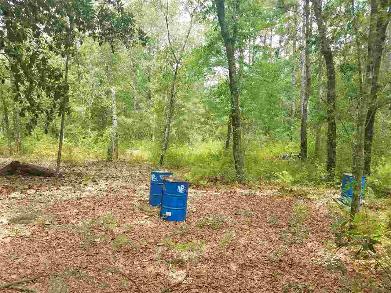 Vacant Southwest Vacant Sw Kramer Road Madison, FL 32340 - Photo 20 of 36 Gallery Image 20