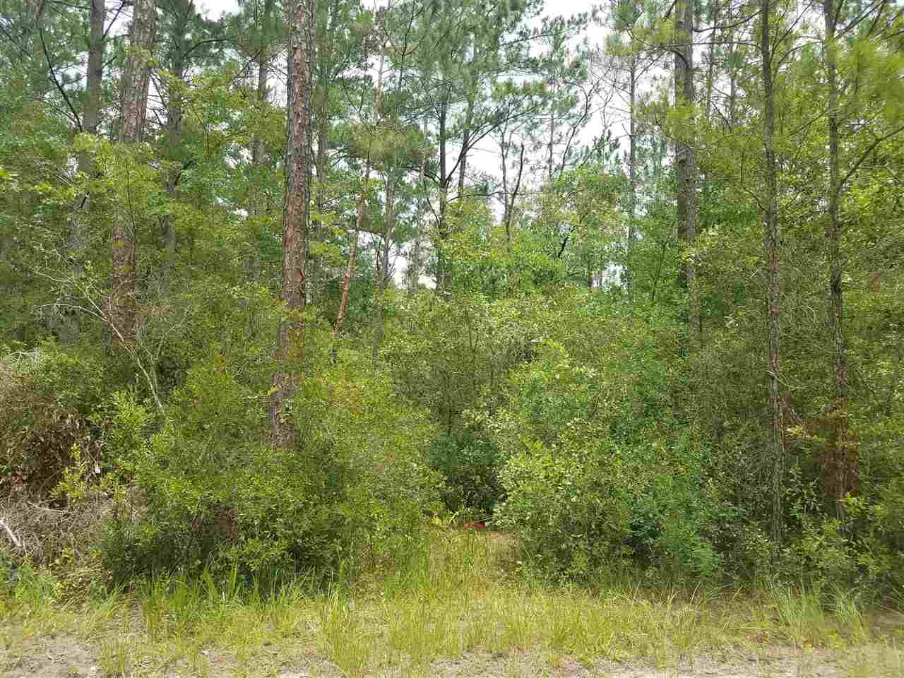 Vacant Southwest Vacant Sw Kramer Road Madison, FL 32340 - Photo 22 of 36 Gallery Image 22