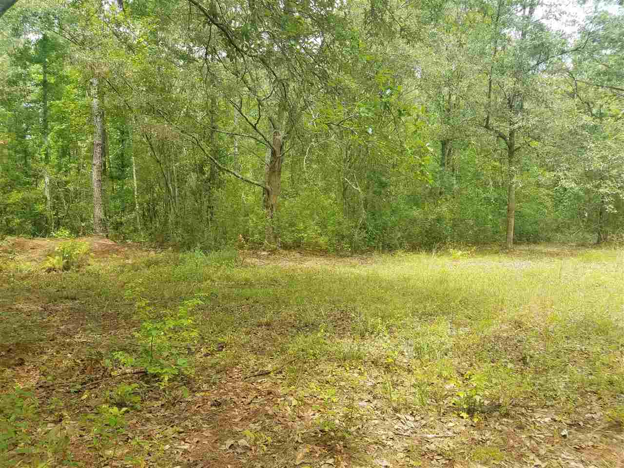 Vacant Southwest Vacant Sw Kramer Road Madison, FL 32340 - Photo 25 of 36 Gallery Image 25
