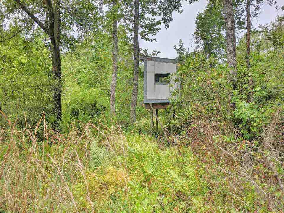 Vacant Southwest Vacant Sw Kramer Road Madison, FL 32340 - Photo 34 of 36 Gallery Image 34