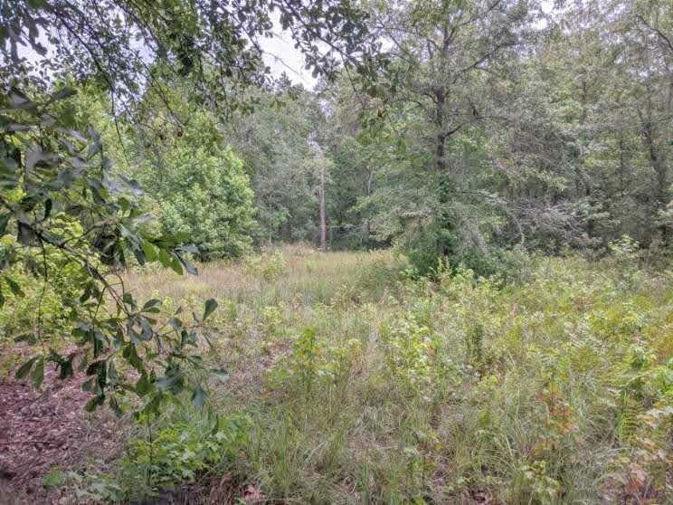 Vacant Southwest Vacant Sw Kramer Road Madison, FL 32340 - Photo 35 of 36 Gallery Image 35