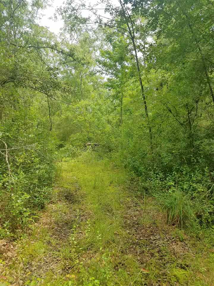 Vacant Southwest Vacant Sw Kramer Road Madison, FL 32340 - Photo 10 of 36 Gallery Image 10