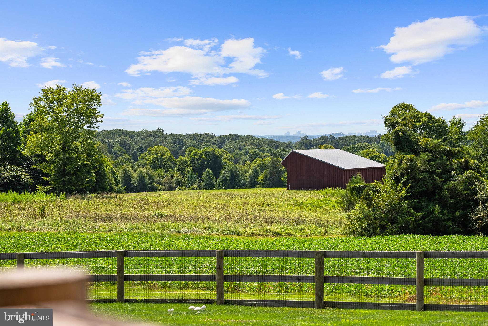 21100 West Offutt Road Poolesville, MD 20837 - Photo 46 of 58 Vista stretching to Bethesda skyline