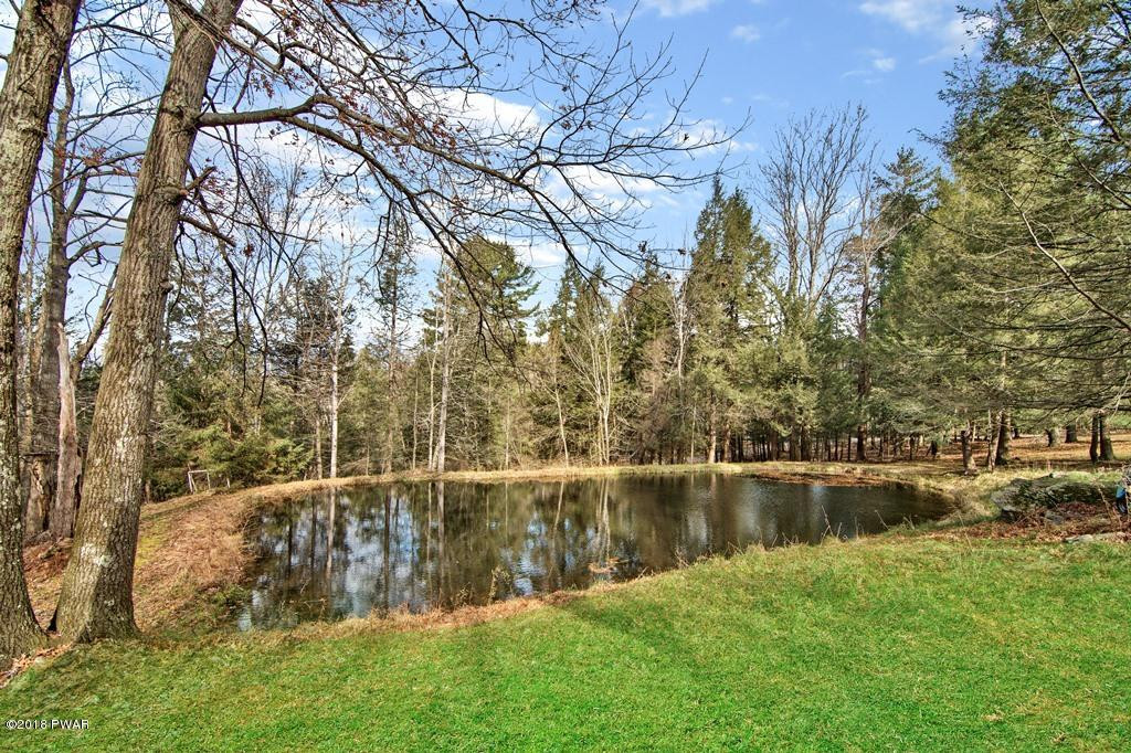 915 Long Ridge Road Hawley, PA 18428 - Photo 5 of 64 Pond View