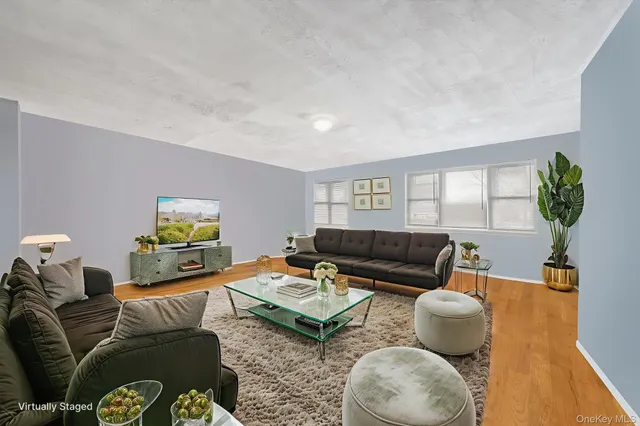 a living room with furniture a rug and a window