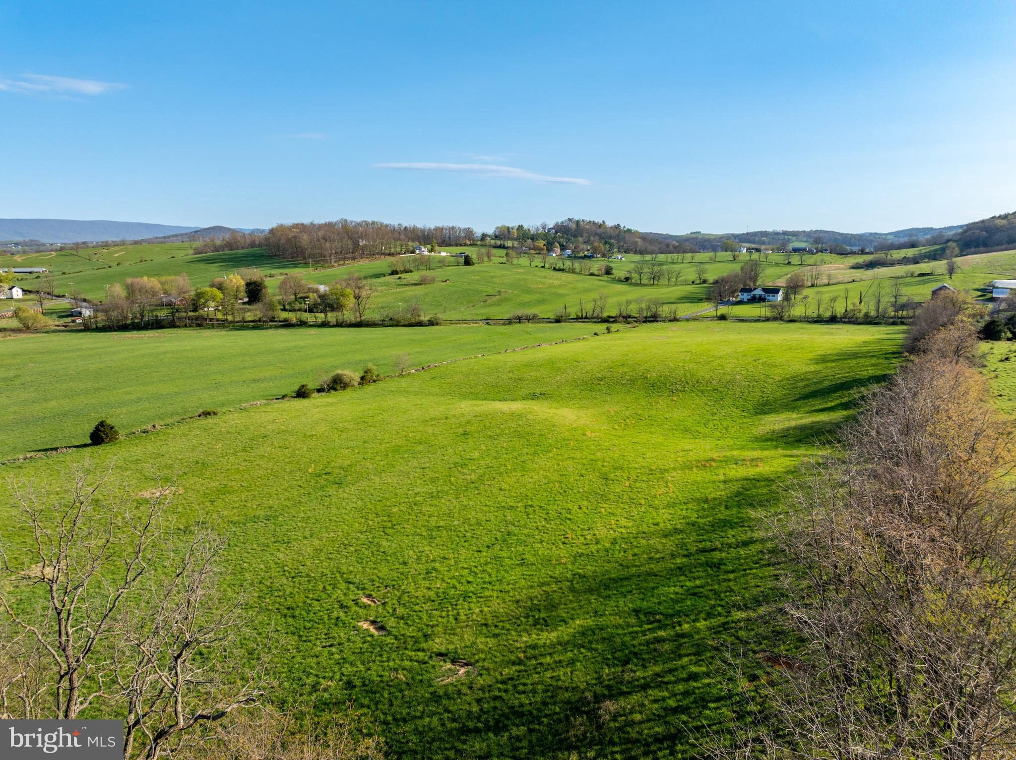 Crooked Run Rd Mount Mount Jackson, VA 22842 - Photo 4 of 14