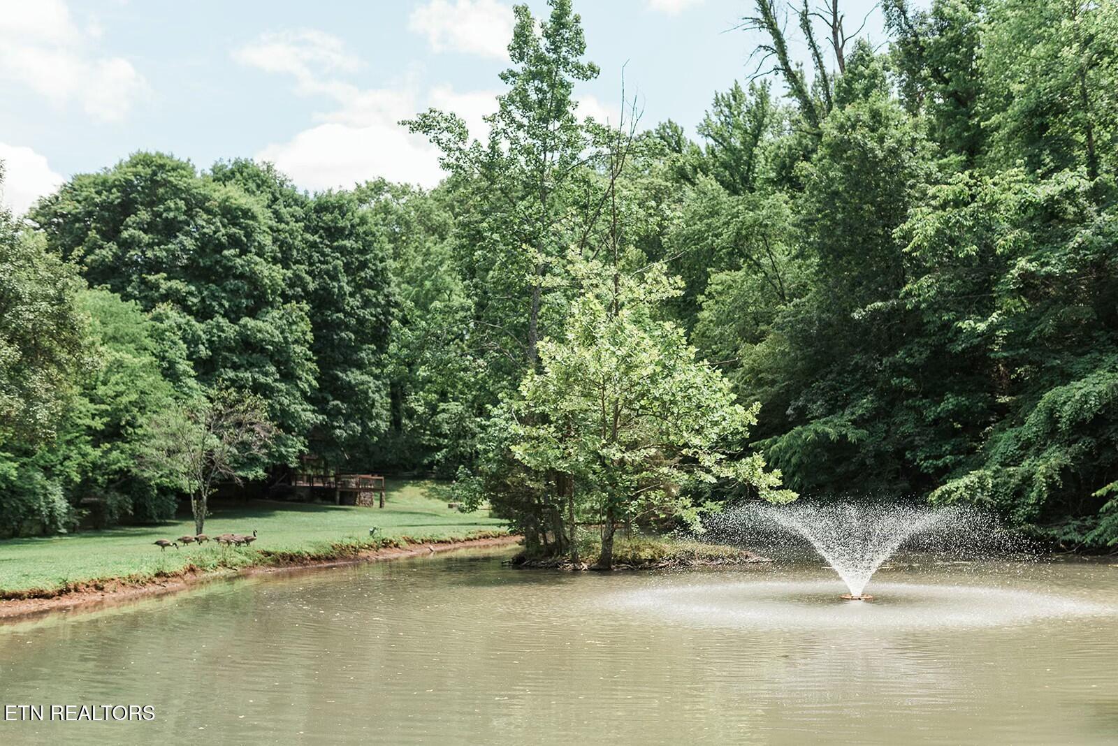 733 McCubbins Road Knoxville, TN 37924 - Photo 12 of 58 tempImagehCQvAf