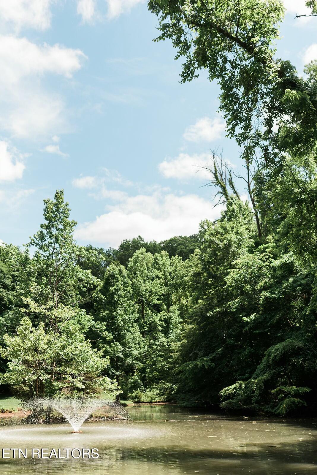 733 McCubbins Road Knoxville, TN 37924 - Photo 13 of 58 tempImageWNBBHd