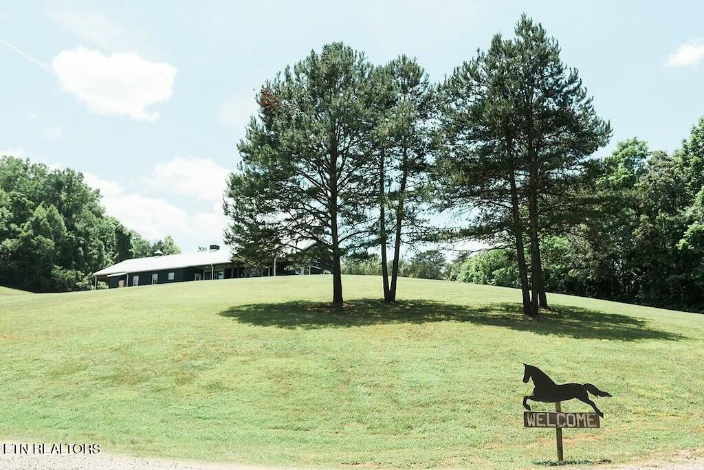 733 McCubbins Road Knoxville, TN 37924 - Photo 35 of 58 tempImage46S49b