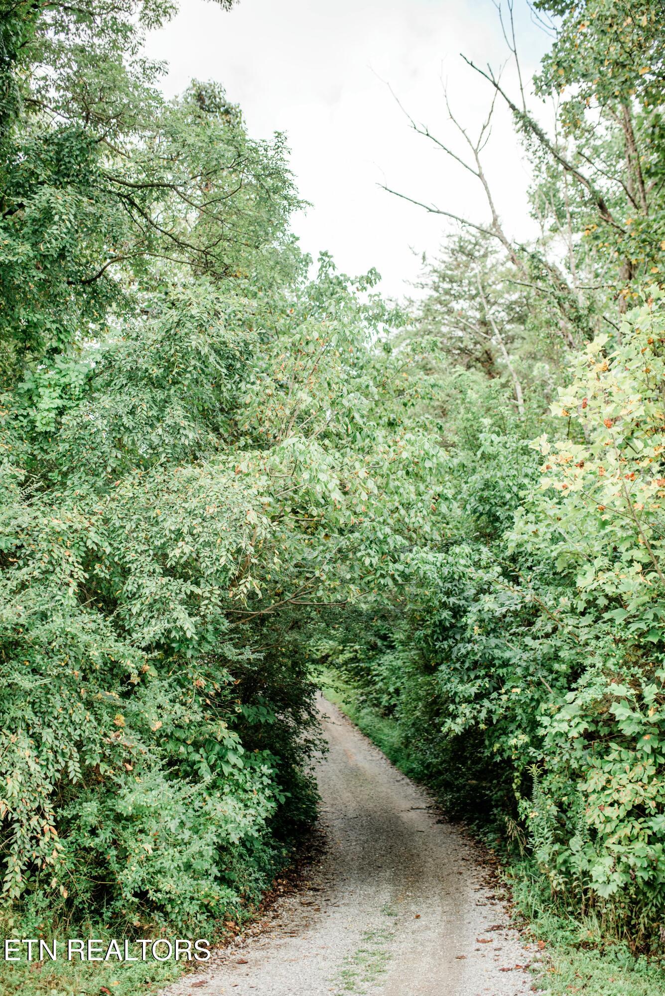 733 McCubbins Road Knoxville, TN 37924 - Photo 55 of 58 tempImage3bf6t0