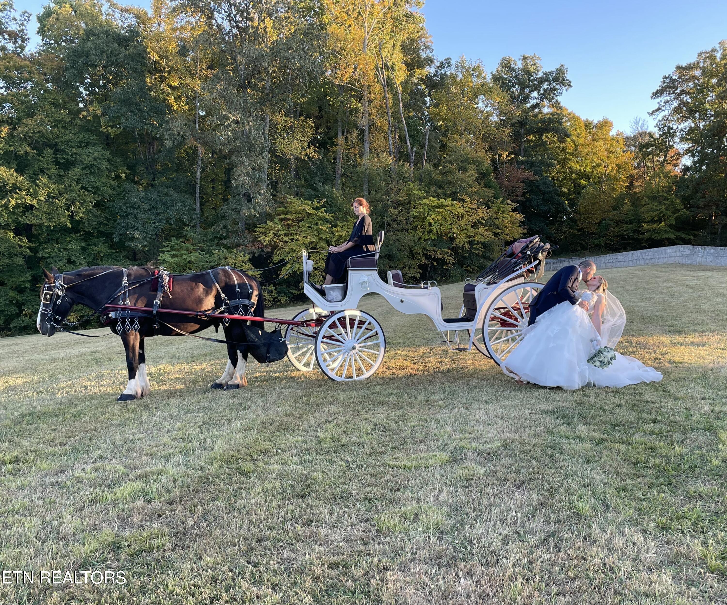 733 McCubbins Road Knoxville, TN 37924 - Photo 56 of 58 IMG_4877