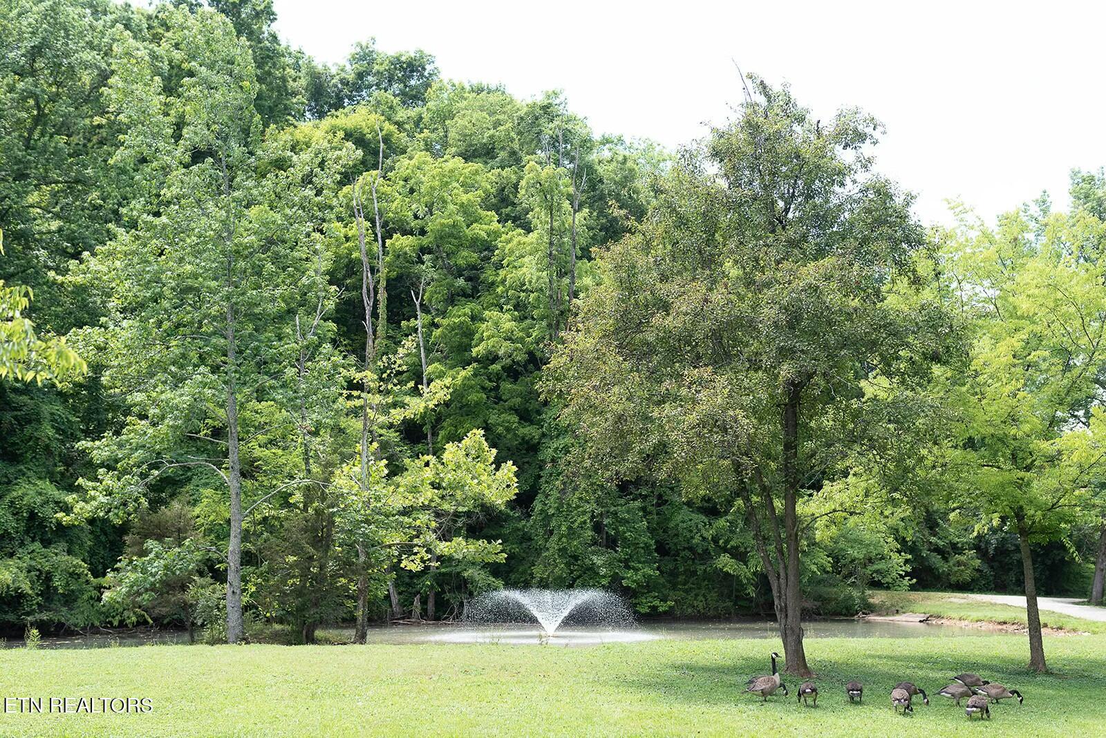 733 McCubbins Road Knoxville, TN 37924 - Photo 6 of 58 tempImageyPiQNp