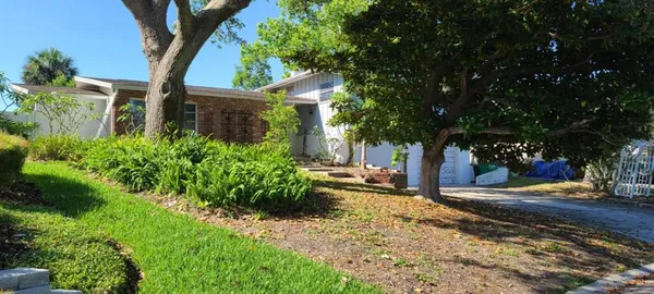 front view of a house with a tree